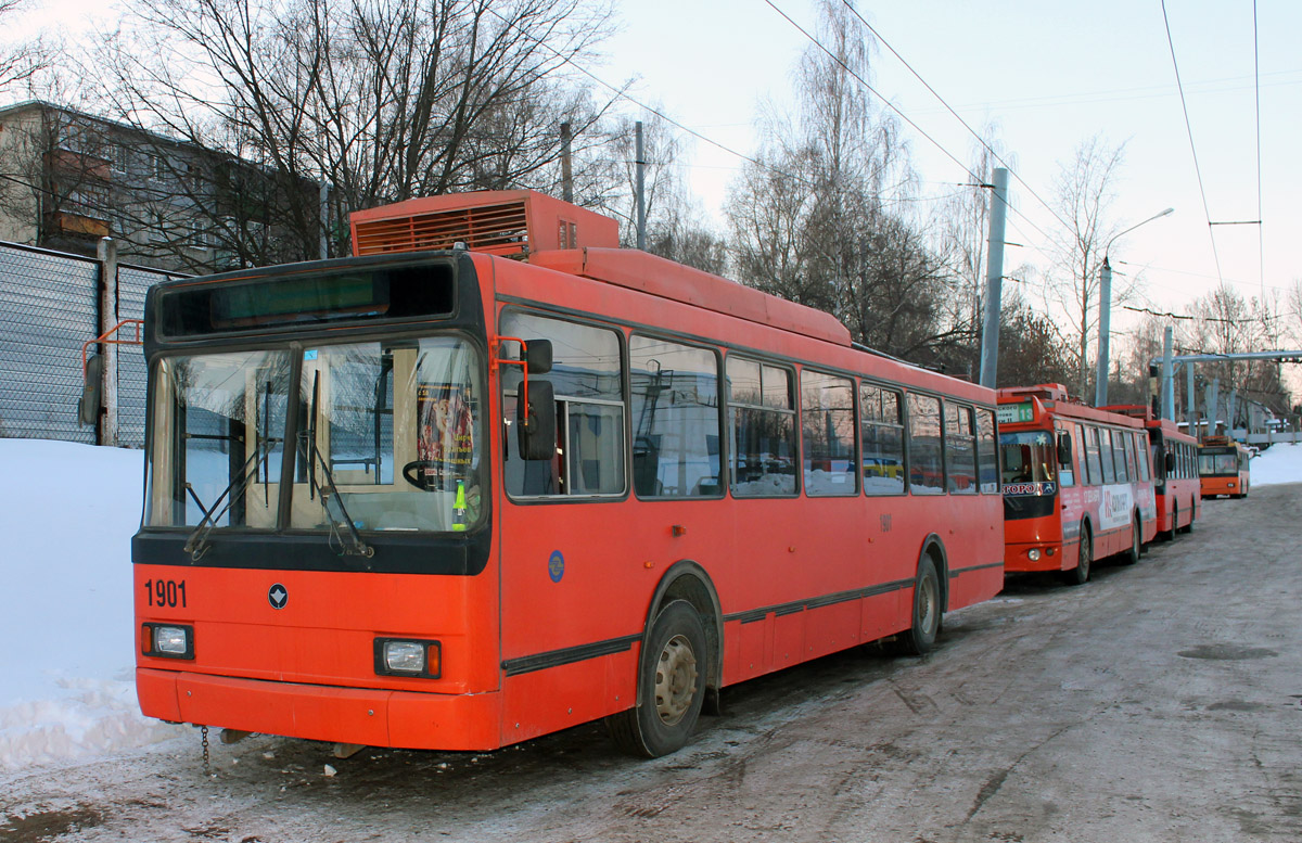 Žemutinis Naugardas, VMZ-52981 nr. 1901