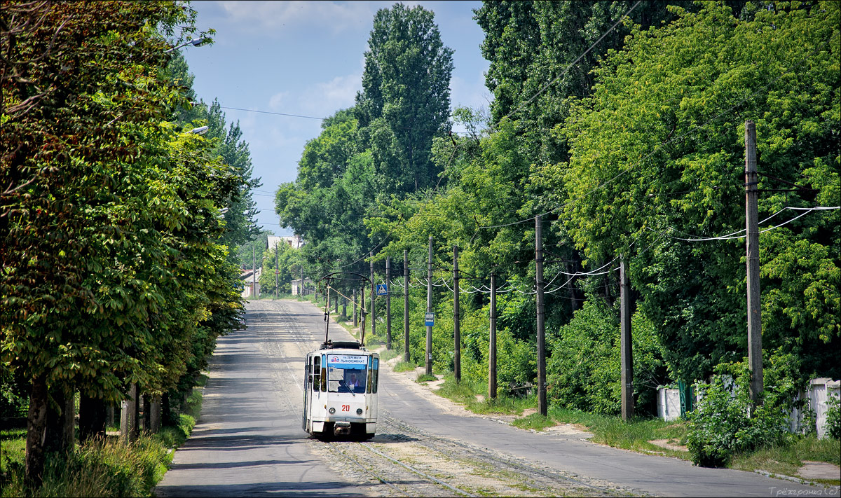 Житомир — Трамвайные и троллейбусные линии и инфраструктура