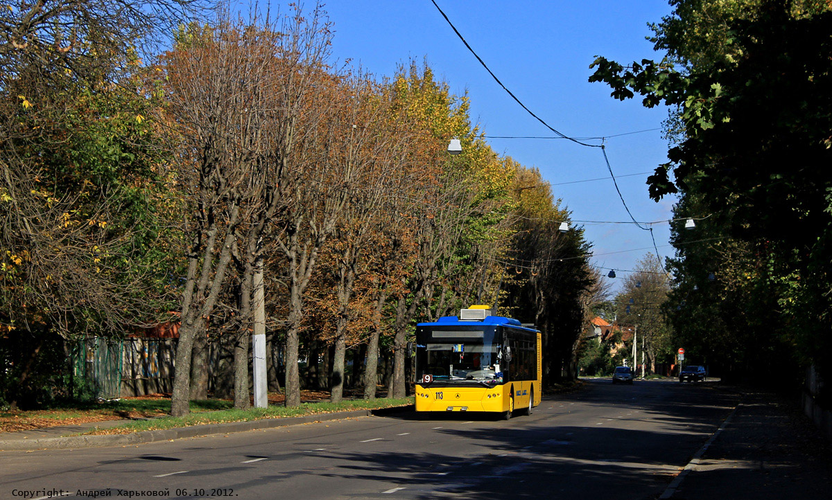 Львов, ЛАЗ E183D1 № 113