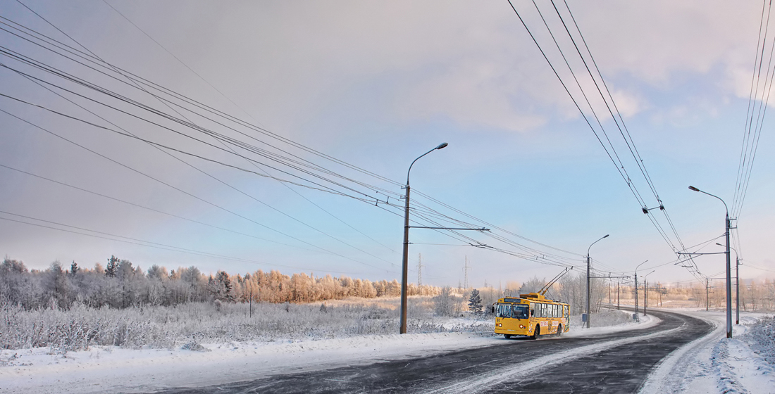 Братск, ВМЗ-170 № 81