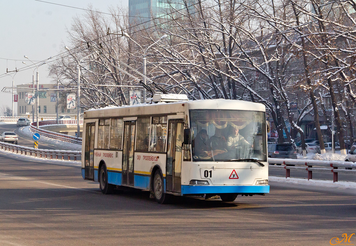 Almaty, TP KAZ 398 # 01