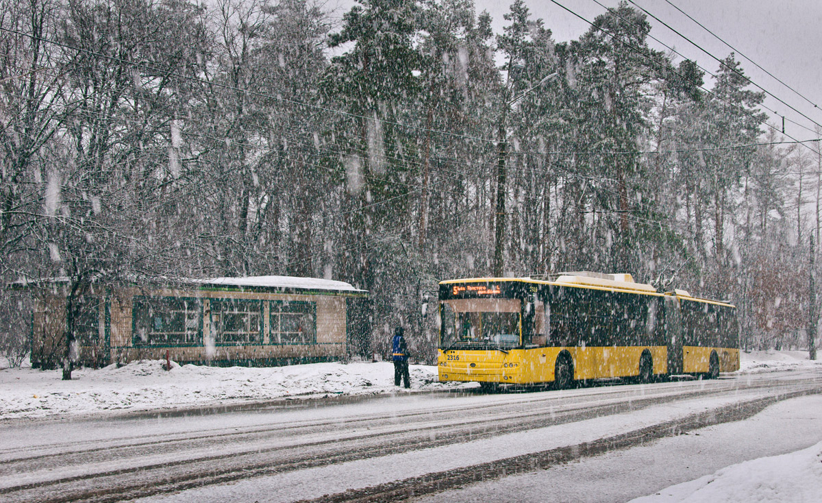 Kijev, Bogdan Т90110 — 2316