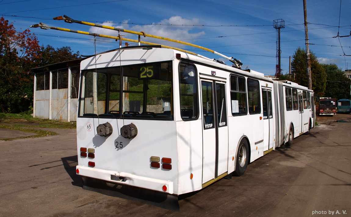 Львов, Škoda 15TrM № 599; Львов — Поставка троллейбусов 2013