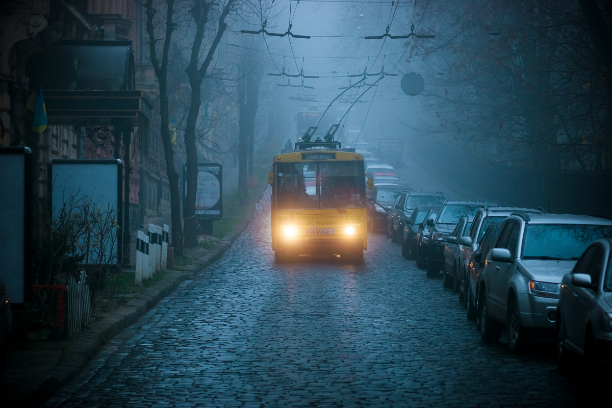 Львов, Škoda 14Tr89/6 № 556