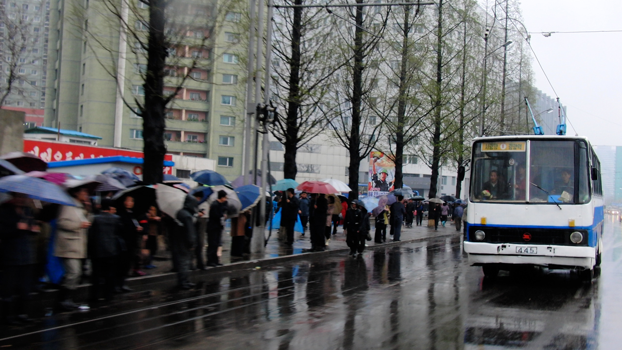 Пхеньян, Chollima 951 (Ikarus 260) № 445