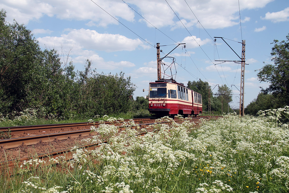 Санкт-Петербург, ЛВС-86К № 8187
