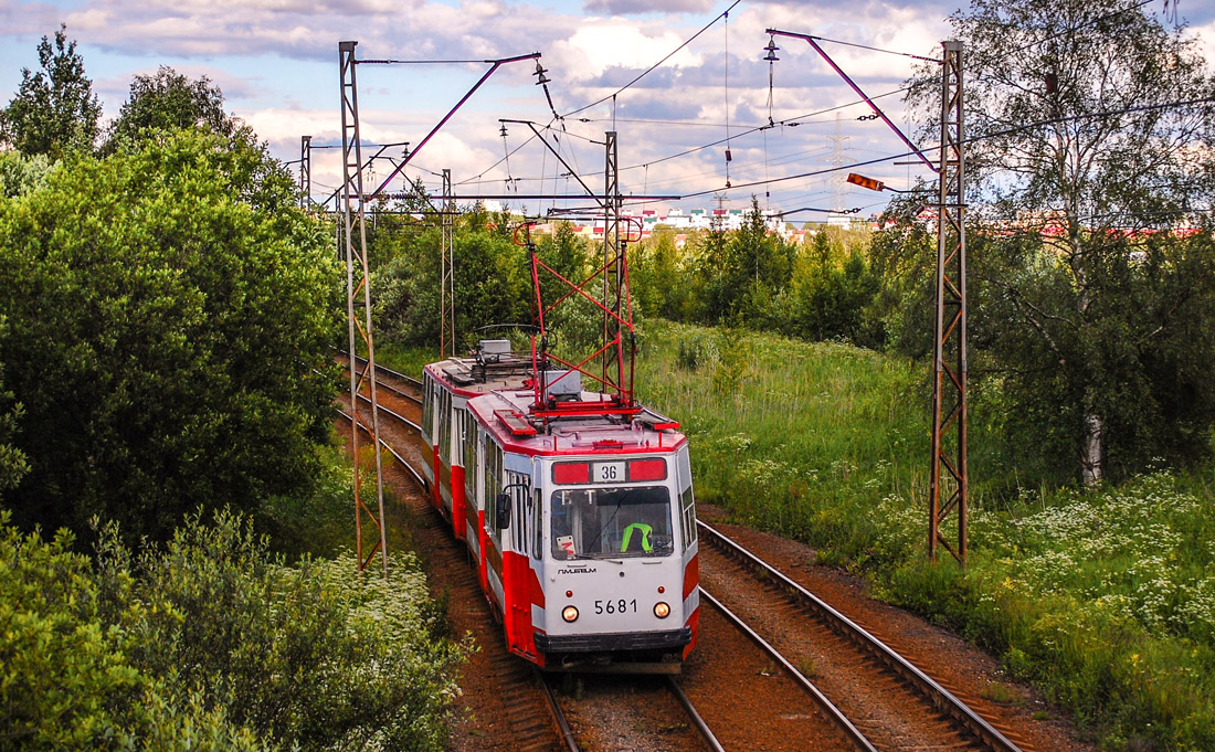 Санкт-Петербург, ЛМ-68М № 5681; Санкт-Петербург — Заказная поездка на СМЕ ЛМ-68М 5681+5448 в Стрельну и Купчино 21.06.2014