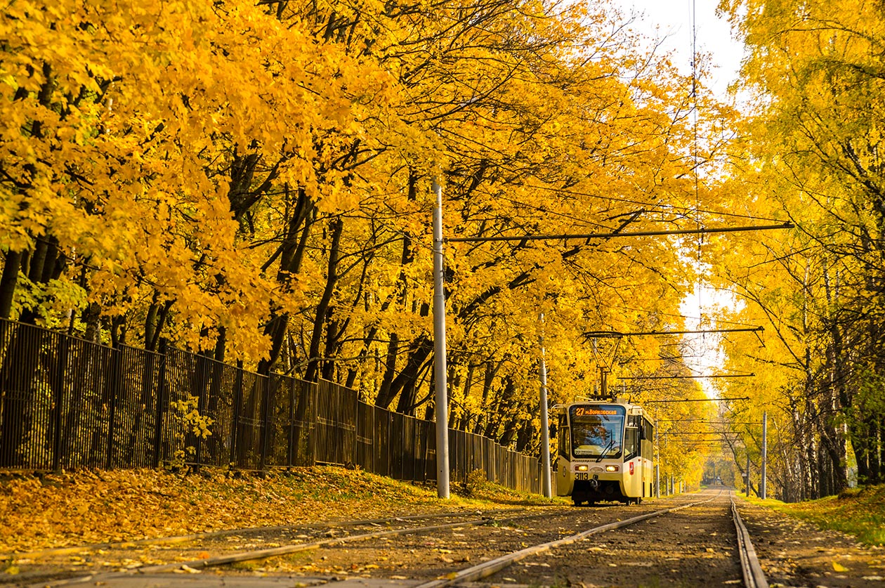 Москва, 71-619А-01 № 3113