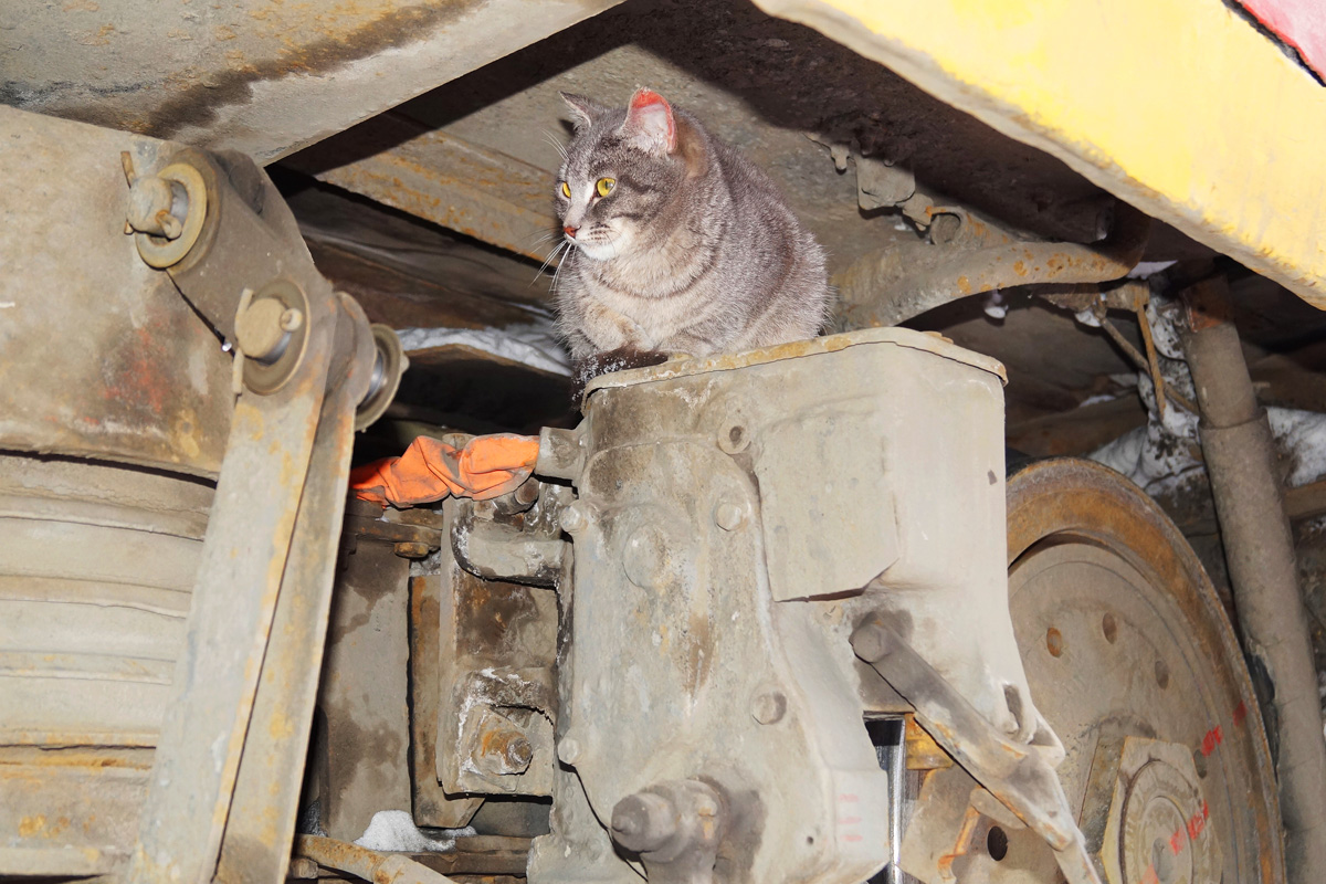 Barnaul — Miscellaneous photos