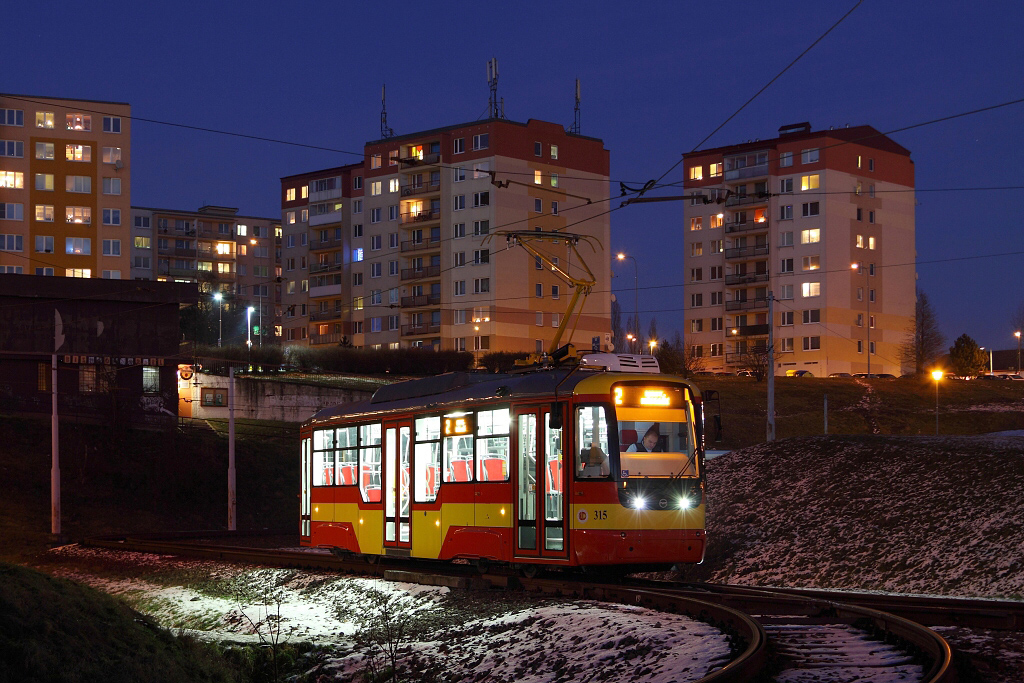 Мост ― Литвинов, Vario LF+ № 315