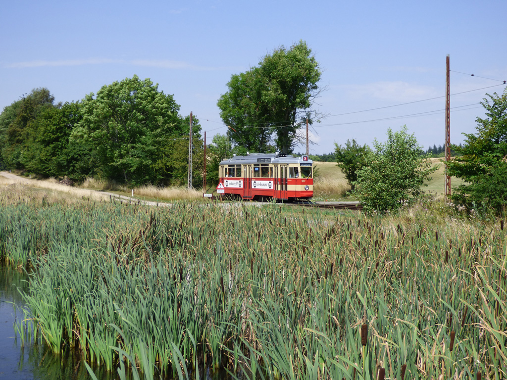 Скьолленесхольм, Falkenried V6 № 3657