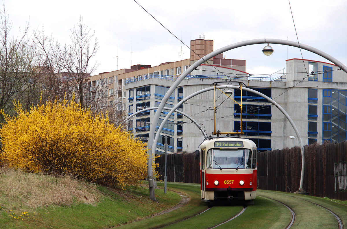 Prague, Tatra T3R.P Br. 8557