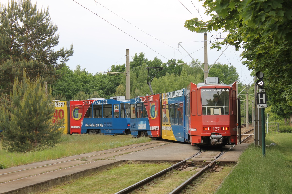 Котбус, Tatra KTNF6 № 137