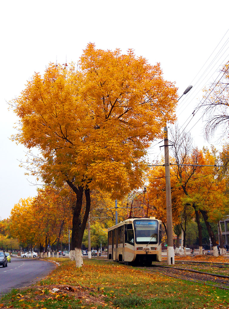 Ташкент, 71-619КТ № 2516