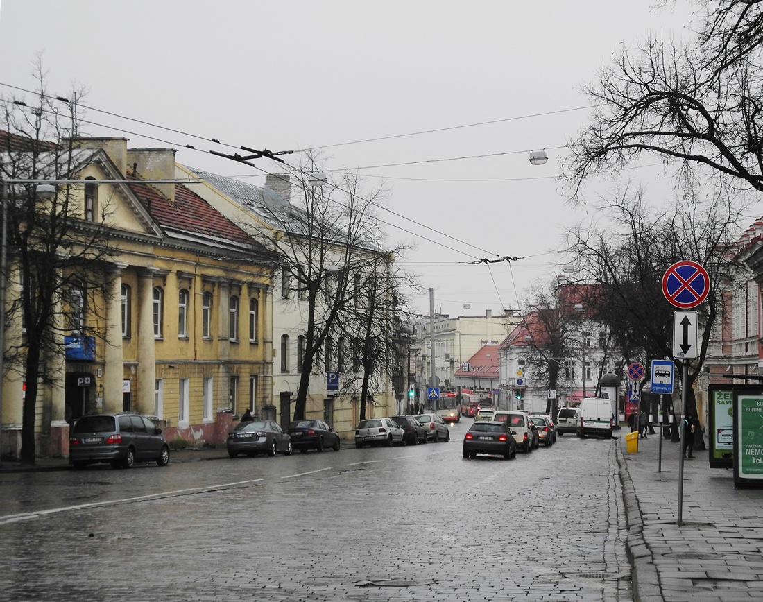 Vilnius — Loops and lines