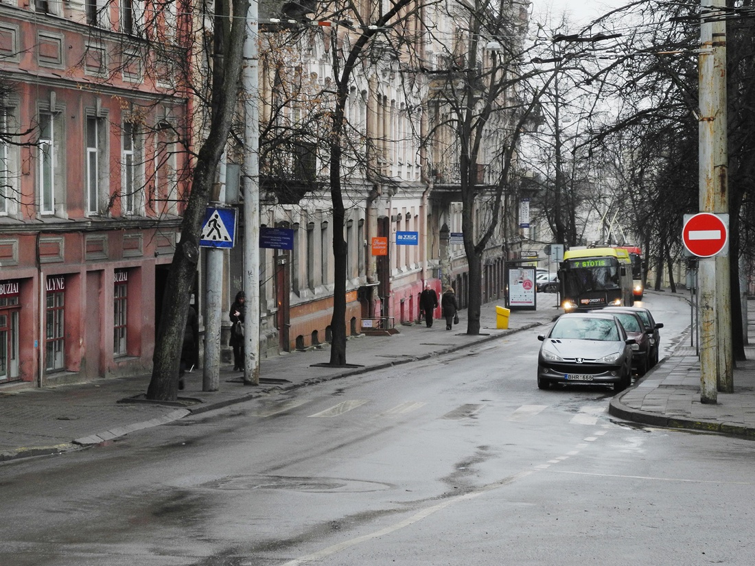 Vilna — Loops and lines