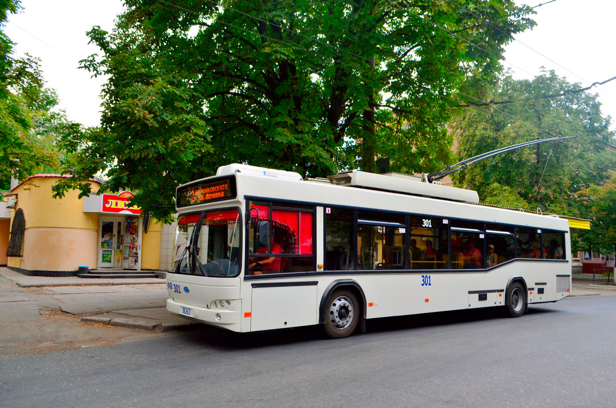 Бахмут, Дніпро Т103 № 301