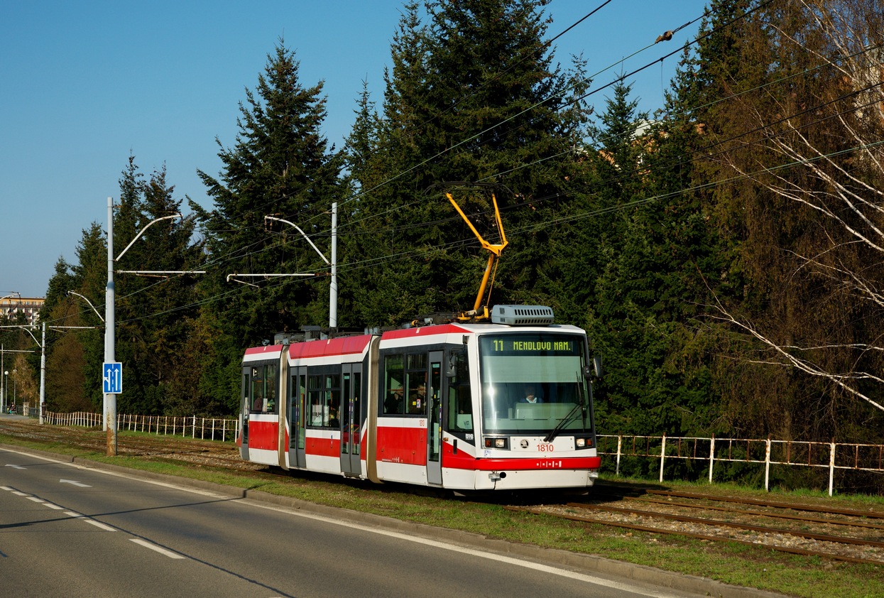 Брно, Škoda 03T6 Anitra № 1810