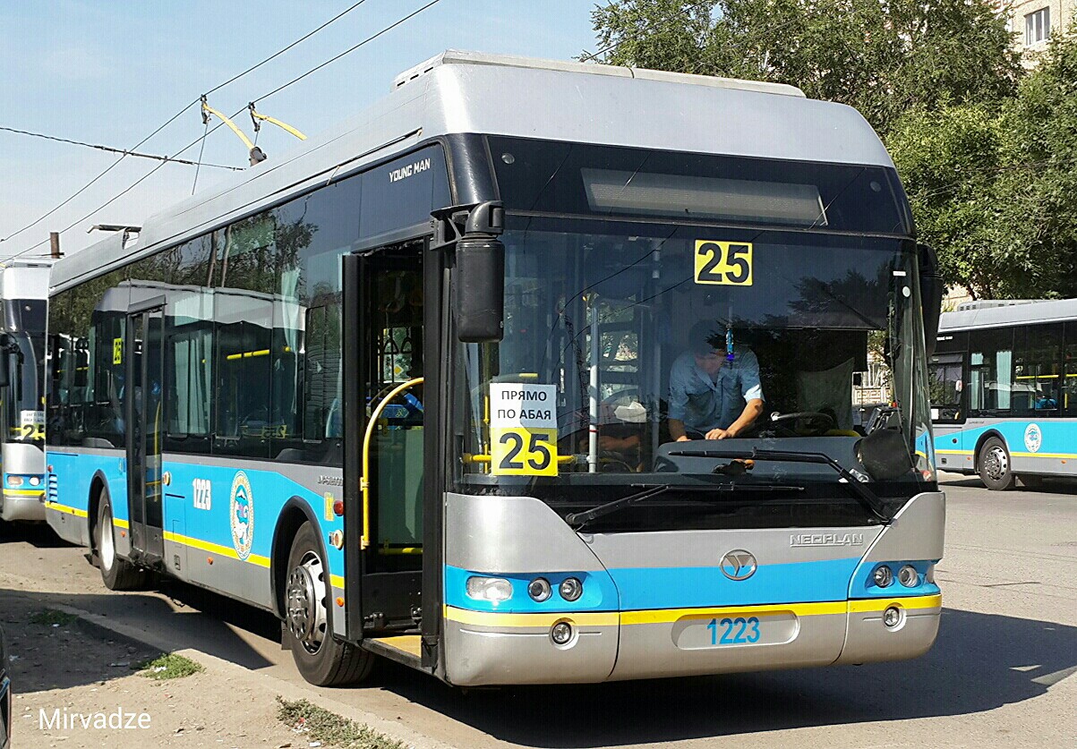 Алматы, YoungMan JNP6120GDZ (Neoplan Kazakhstan) № 1223