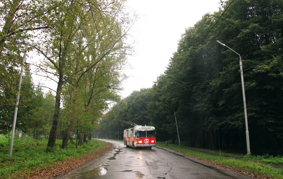 Ryazan — Trolleybus line at Lesopark (Woodland)