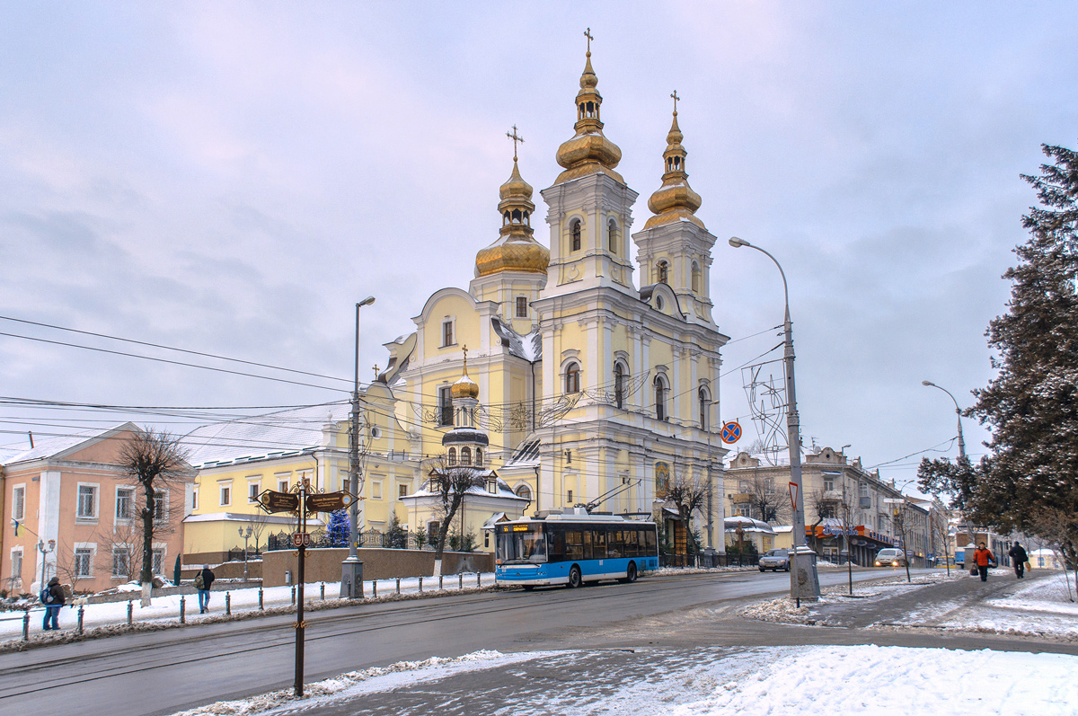 Винница — Трамвайные линии и инфраструктура; Винница — Троллейбусные линии и инфраструктура