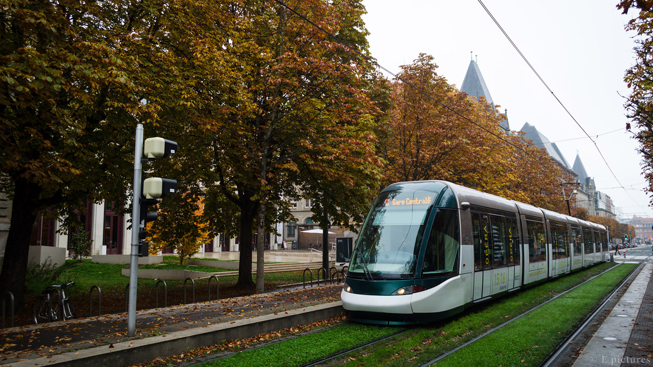 Strasbourg, Alstom Citadis 403 # 2005