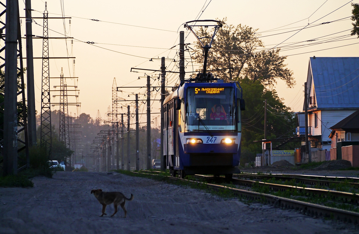 Бийск, Tatra TB4D КВР Барнаул № 247; Транспорт и животные