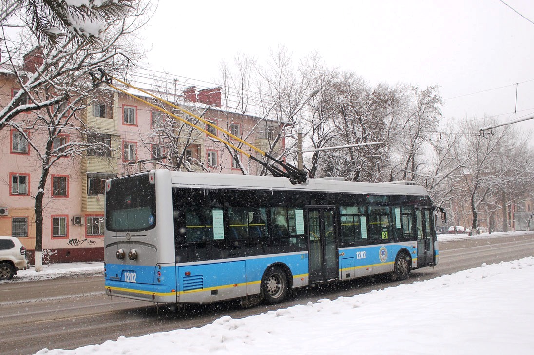 Almata, YoungMan JNP6120GDZ (Neoplan Kazakhstan) nr. 1202
