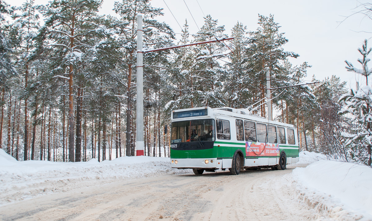 Дзержинск, ЗиУ-682Г-016.02 № 065