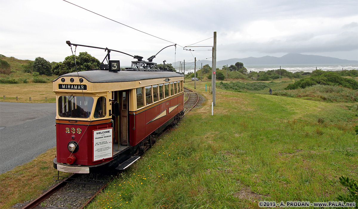 Паекакарики, Wellington City Tramways Company Ltd № 239