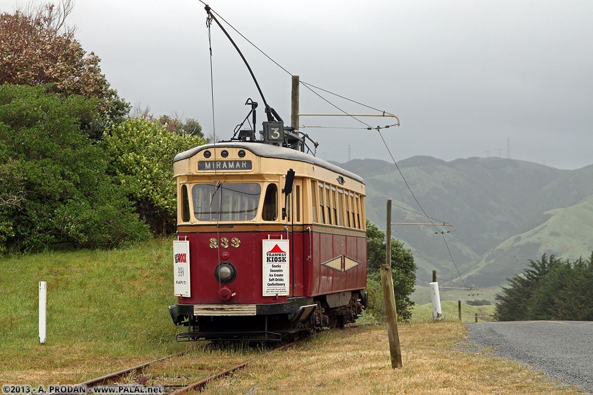 Паекакарики, Wellington City Tramways Company Ltd № 239