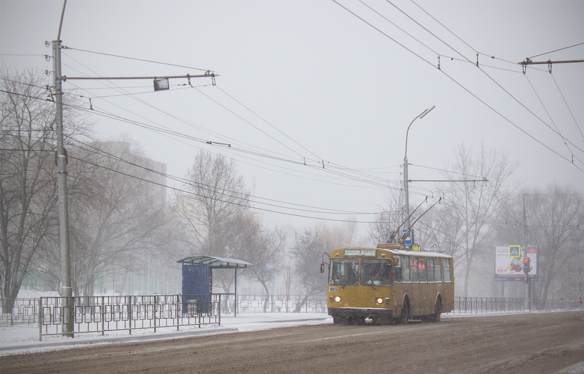 Рязань, ЗиУ-682Г [Г00] № 1065