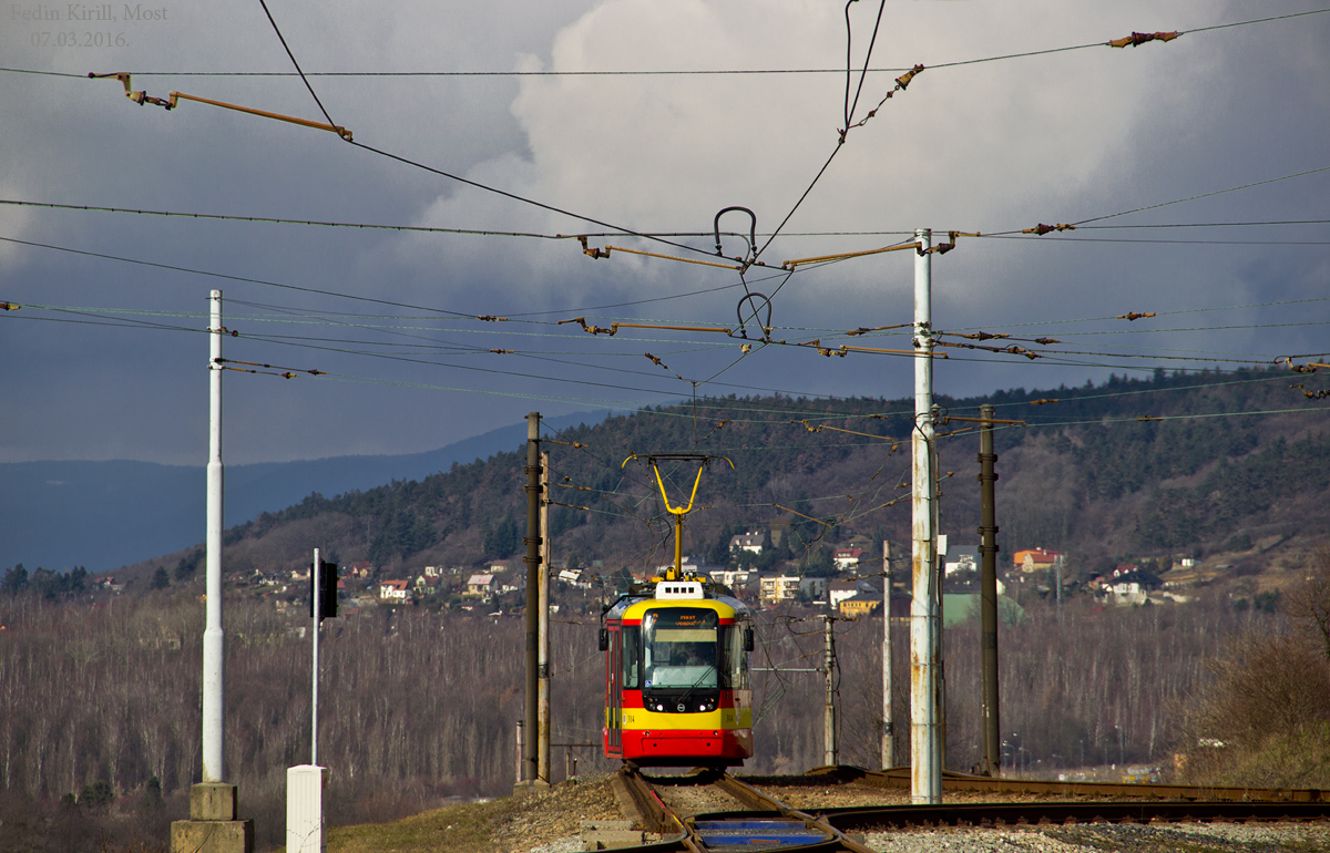 Мост ― Литвинов, Vario LF+ № 314