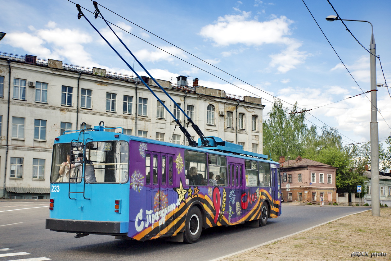 Владимир, ВМЗ-170 № 233