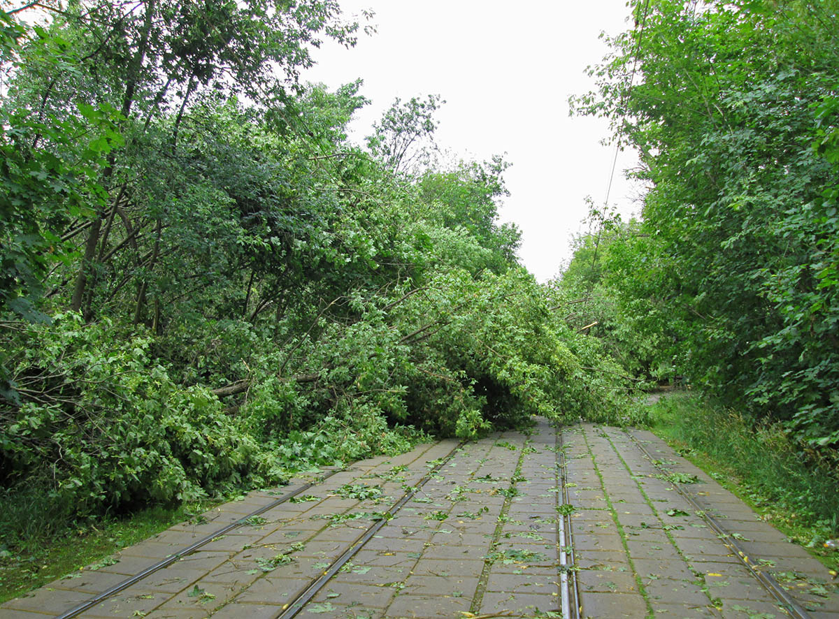 Москва — Происшествия Москва — Происшествия