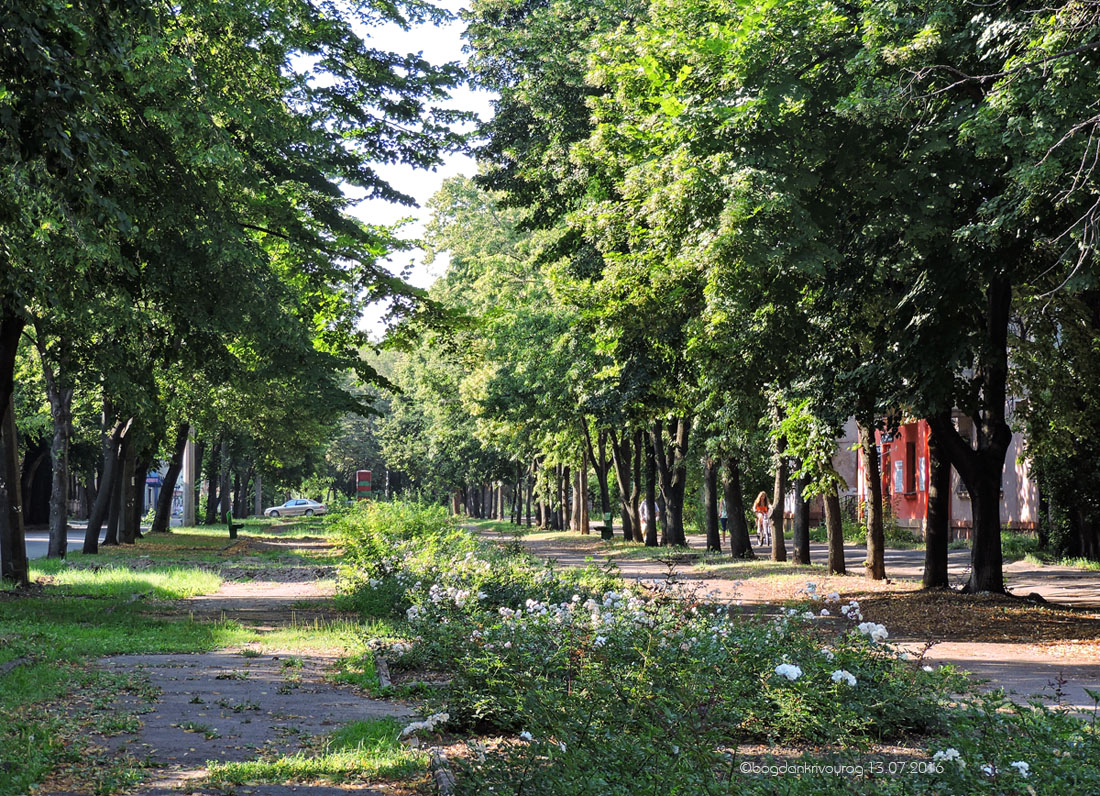 Кривой Рог — Closed line
