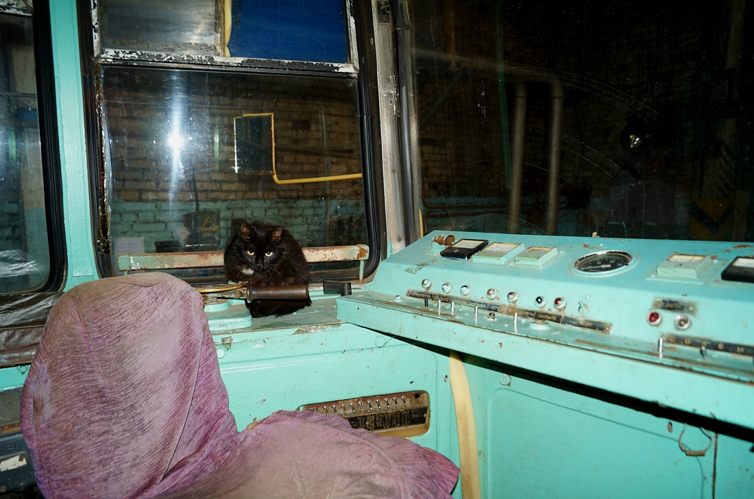 Владивосток, 71-605А № 09; Владивосток — Разные фотографии