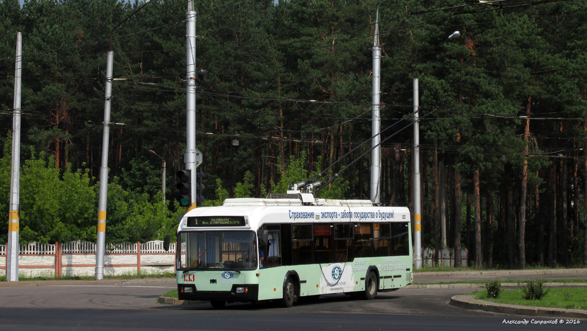 Babruiskas, BKM 32102 nr. 133