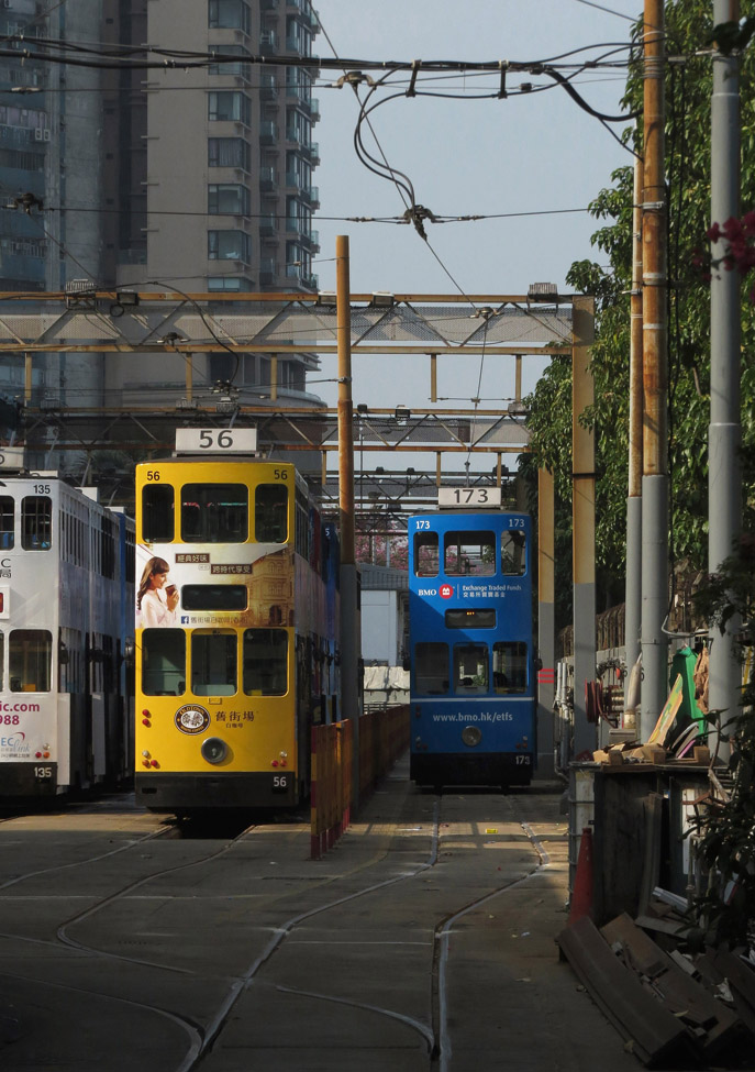 Гонконг, Hong Kong Tramways VII № 56; Гонконг, Hong Kong Tramways VII № 173
