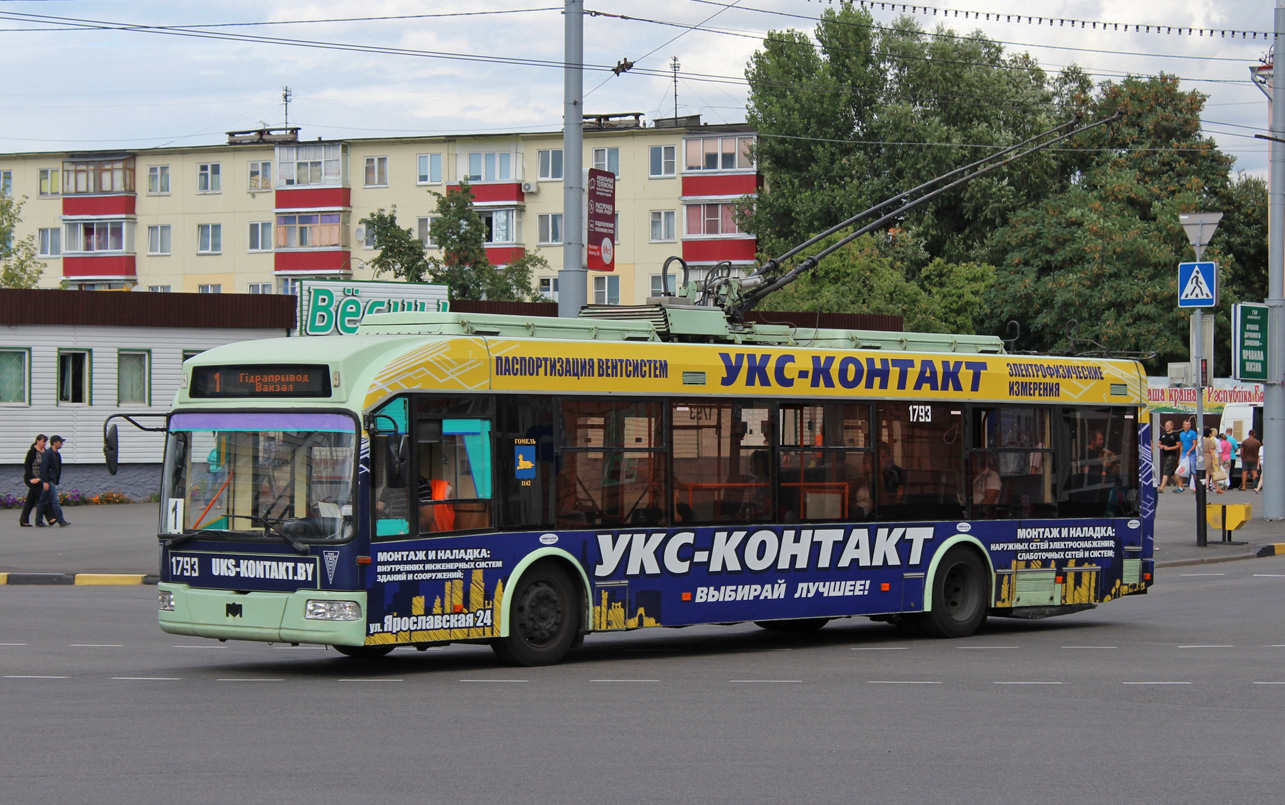 Homel, BKM 321 Nr 1793