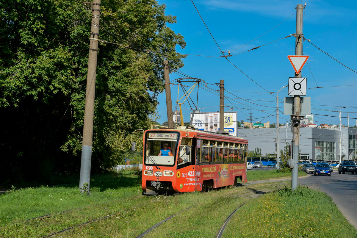 Нижний Новгород, 71-619КТ № 1239