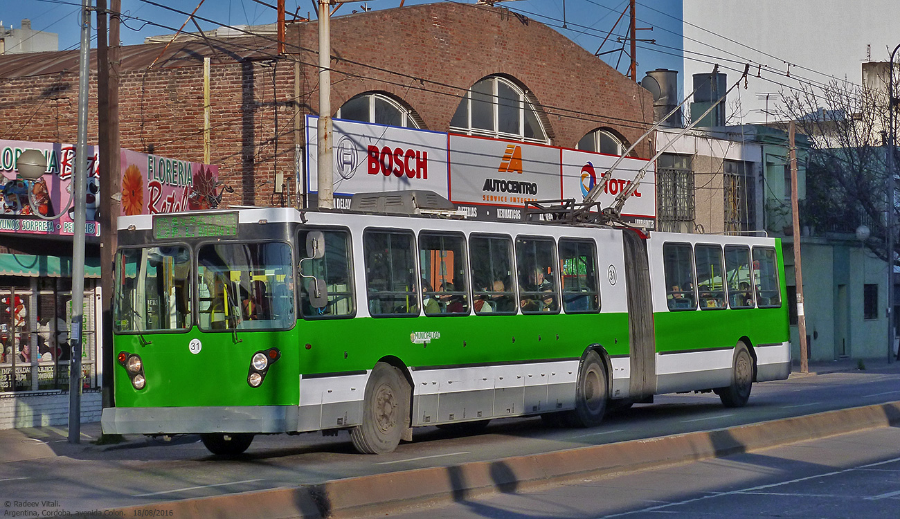 Кордова, ЗиУ-683Б [Б00] № 31