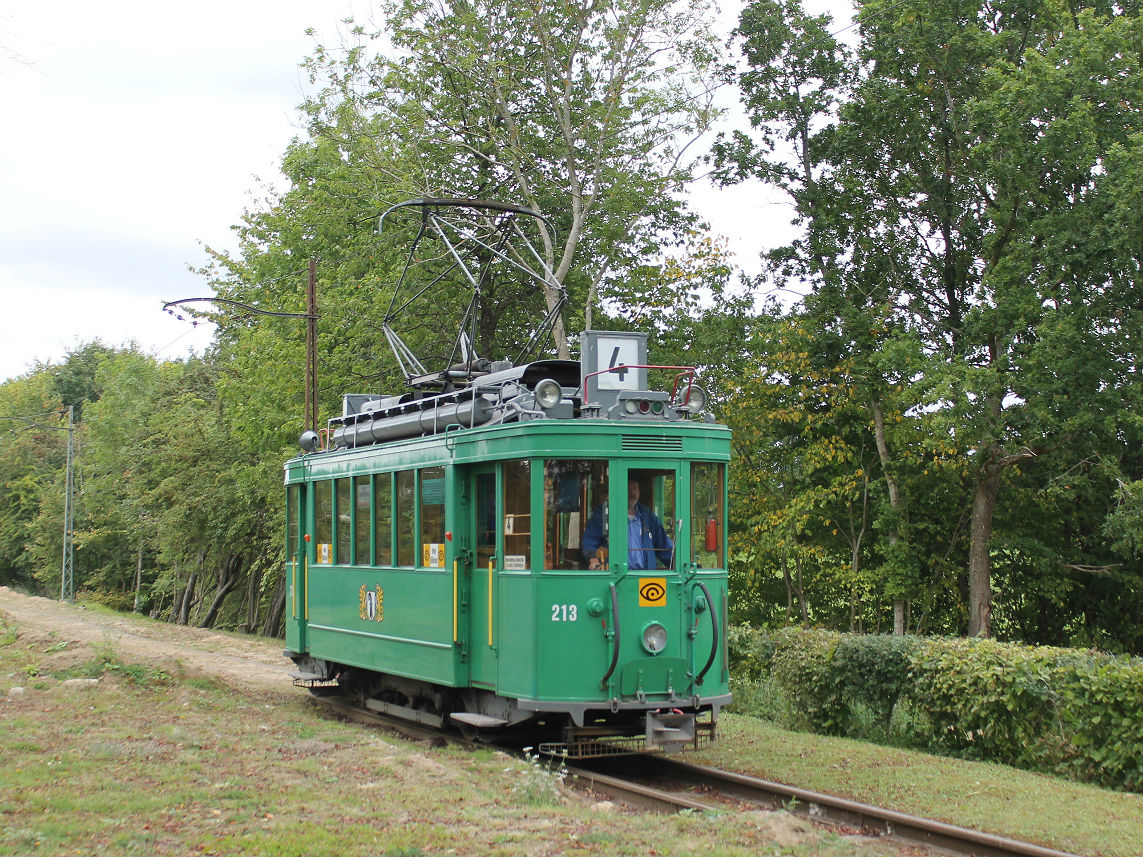 Скьолленесхольм, SIG/BBC Ce 2/2 № 213