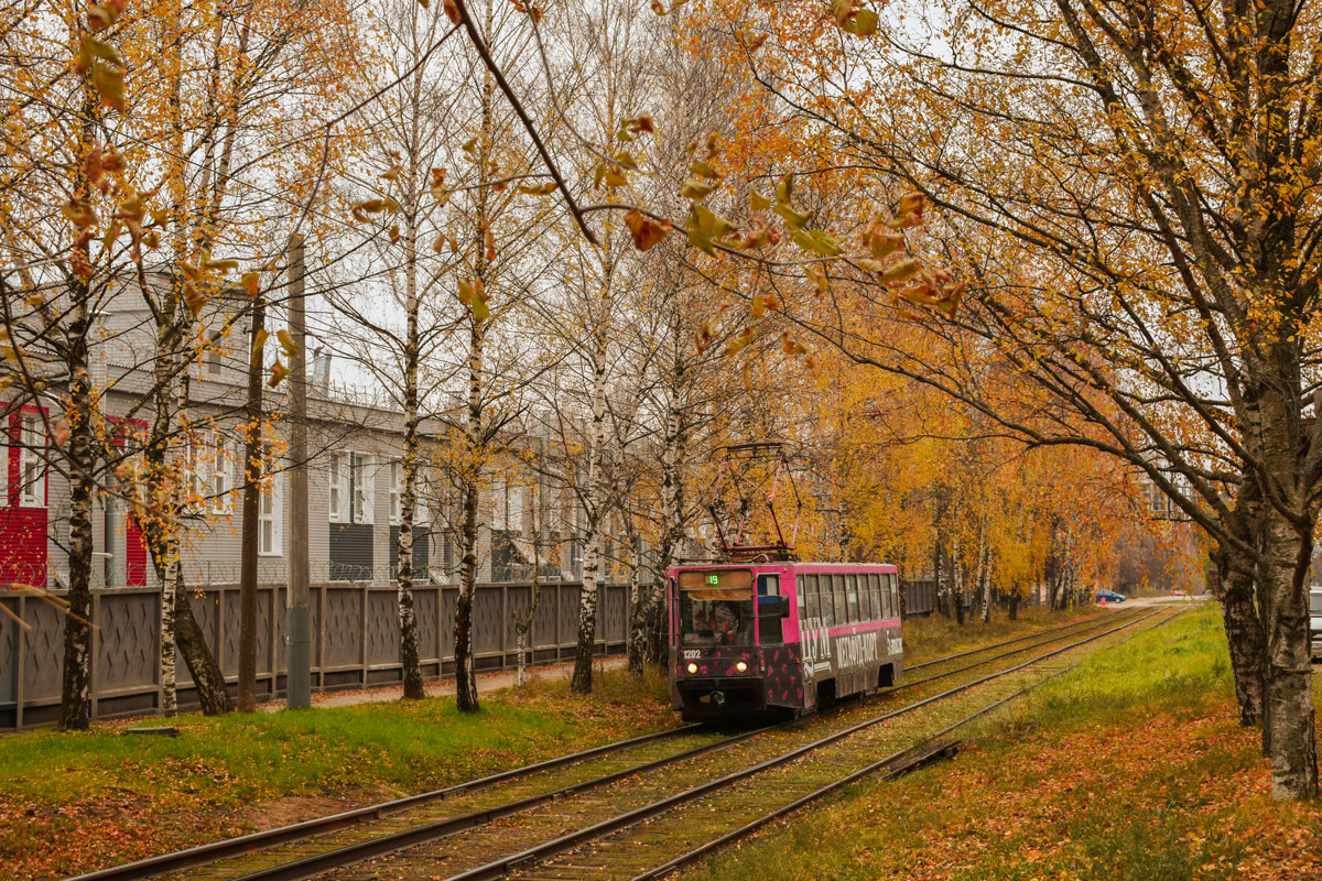 Нижний Новгород, 71-608К № 1202