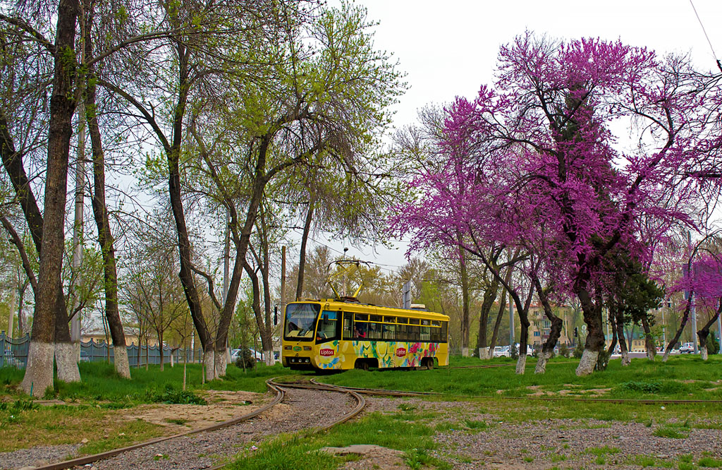 Ташкент, 71-619КТ № 3101