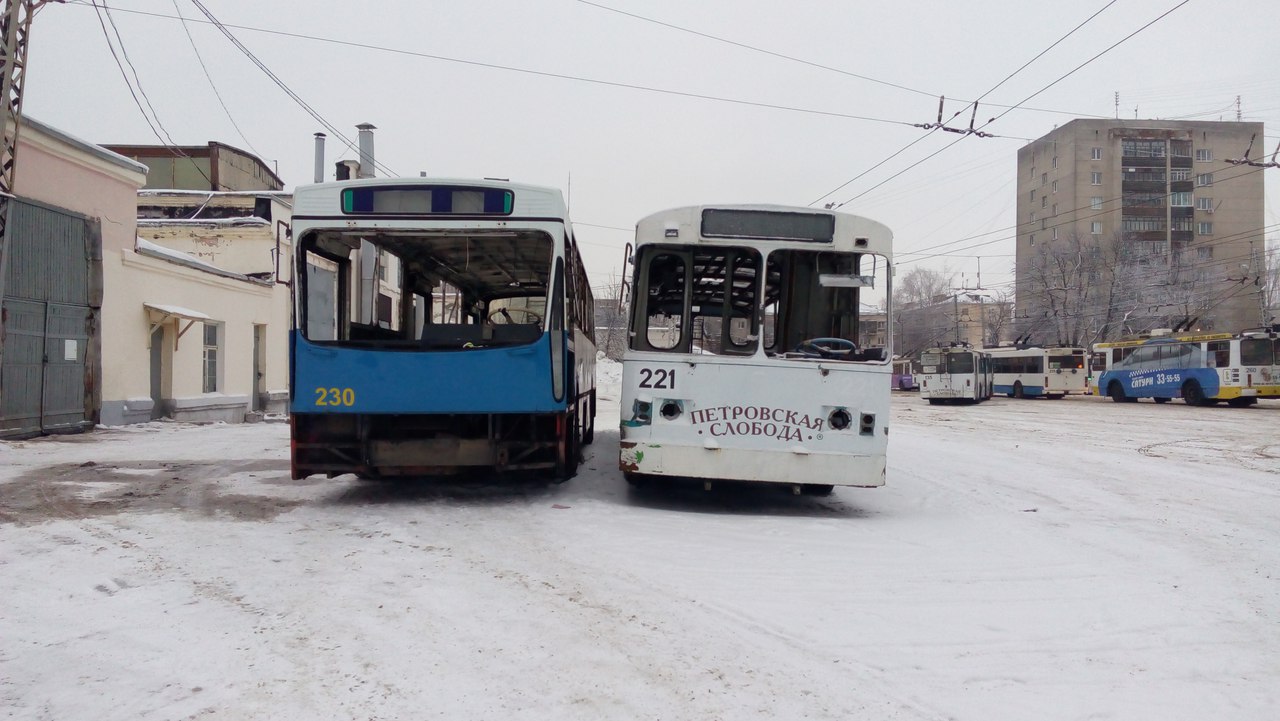 Владимир, Nordtroll NTR-120MT № 230; Владимир, ЗиУ-АКСМ (АКСМ 100) № 221