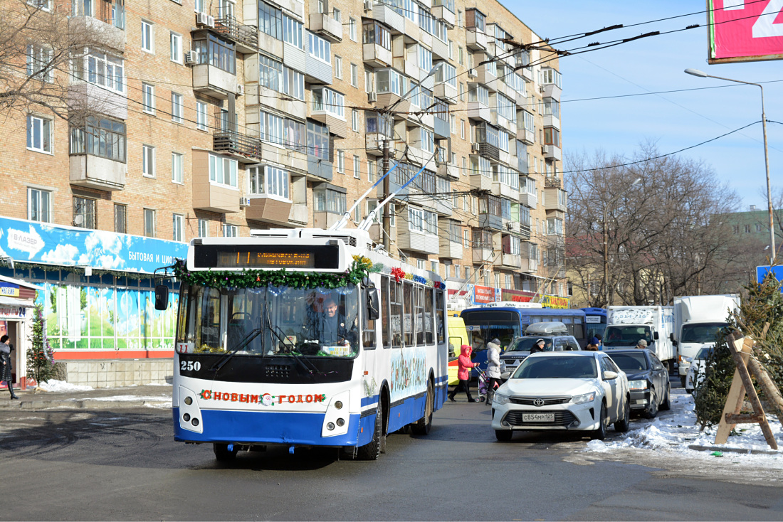 Владивосток, ЗиУ-682Г-016.02 № 250; Владивосток — Тематические  троллейбусы