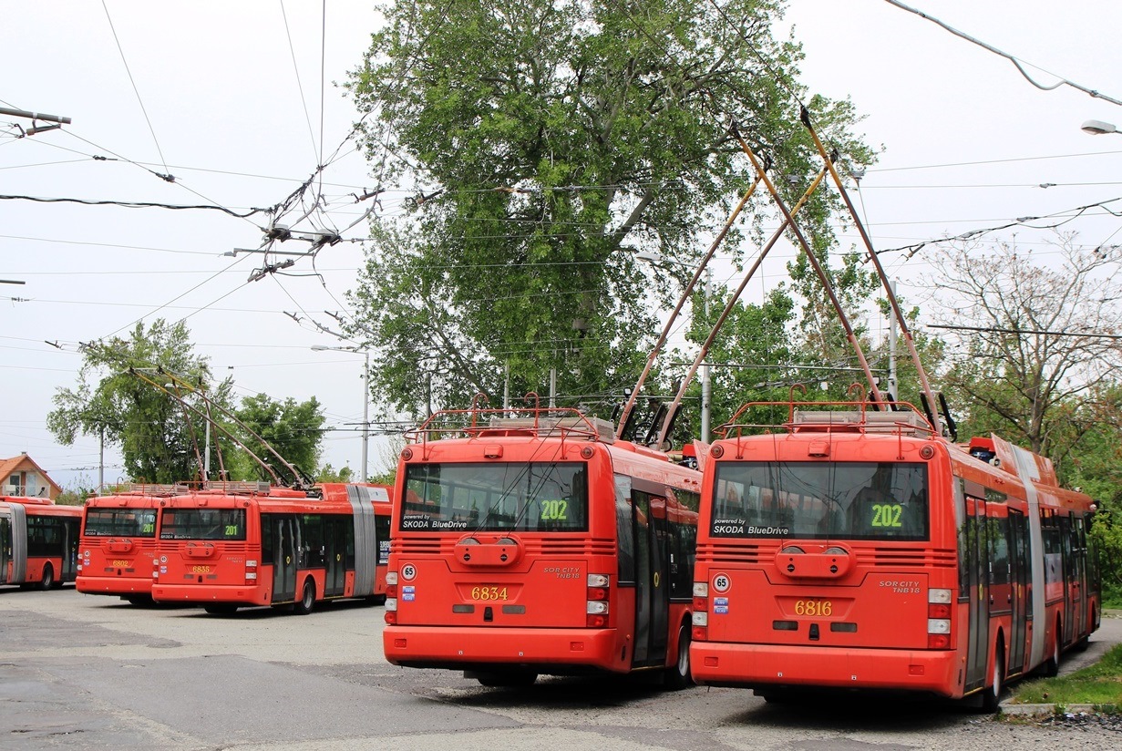 Братислава, Škoda 31Tr SOR № 6816