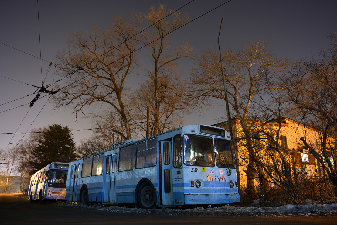 Владивосток, ЗиУ-682Г [Г00] № 238