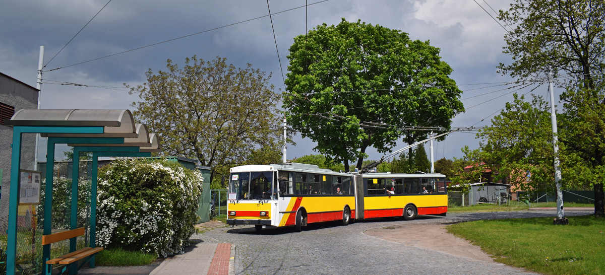 Градец-Кралове, Škoda 15Tr02/6 № 77; Пардубице — Празднование 65-летия троллейбусного движения в Пардубице